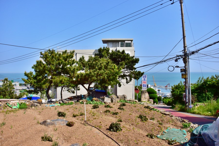 해운대 청사포
