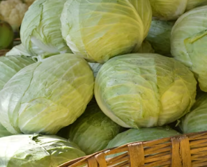 비타민K가 많은 음식