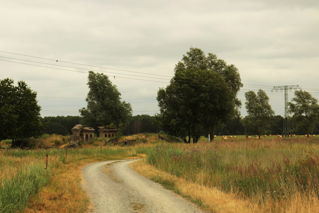 Rural