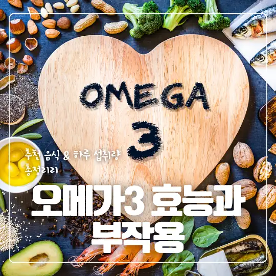 오메가3 효능과 부작용