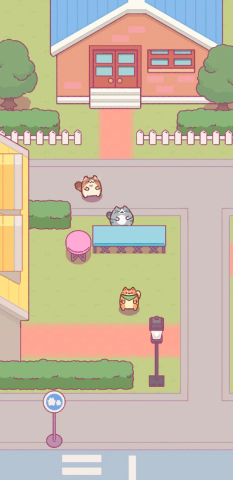 고양이스낵바-시작