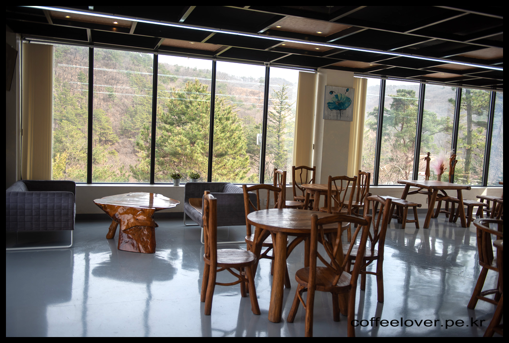 이천여행 아이와 가볼만한곳 덕평공룡수목원