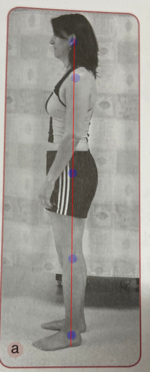 측면에서의-신체중심선