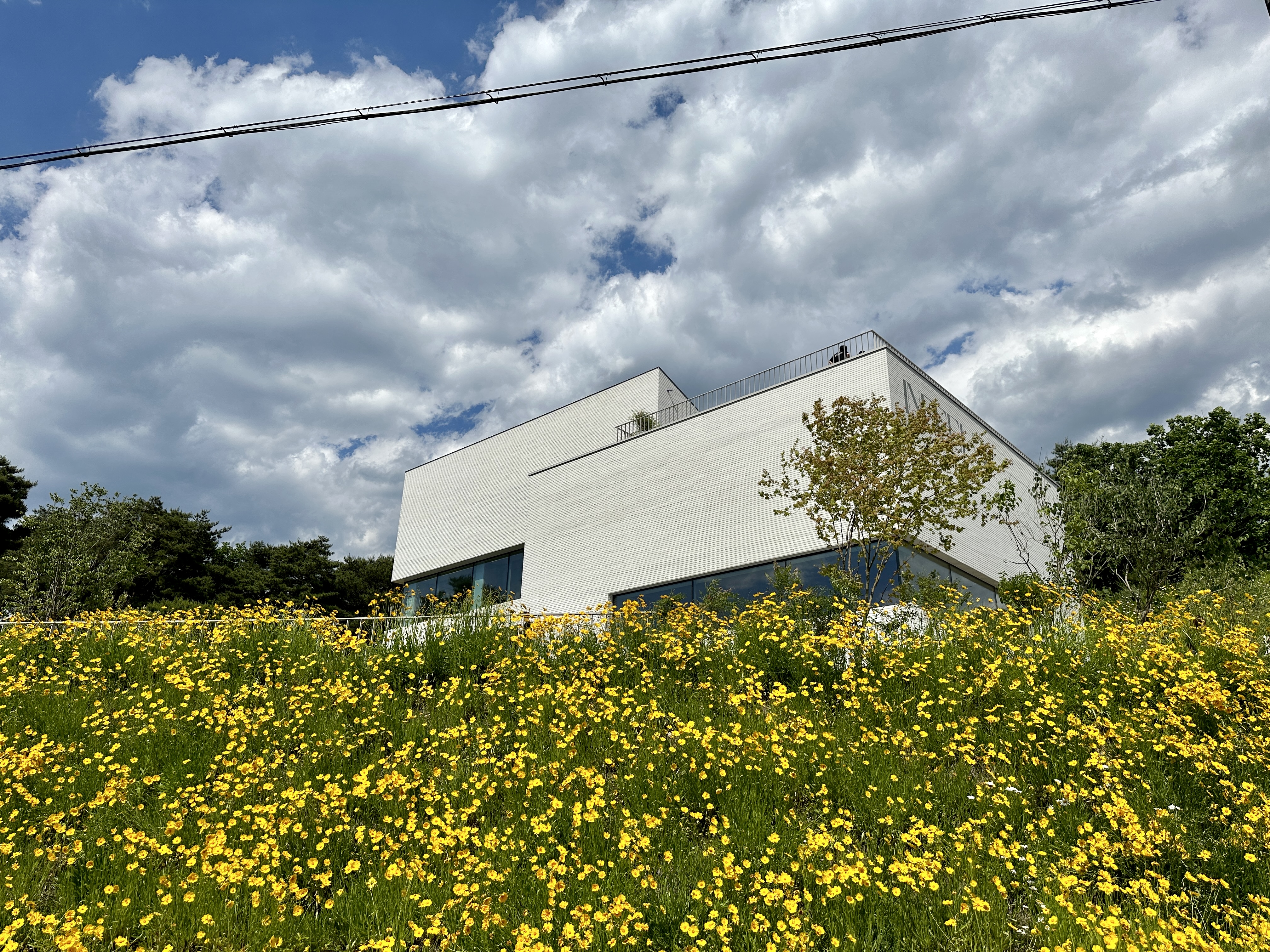 춘천 손흥민 가게