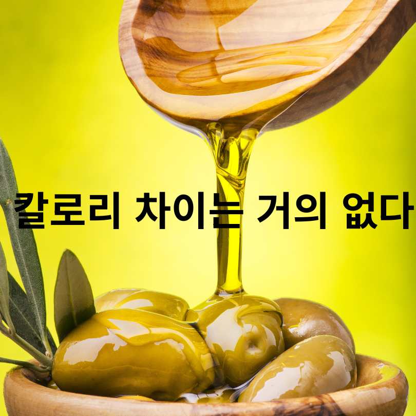 아보카도오일과 올리브오일 차이점