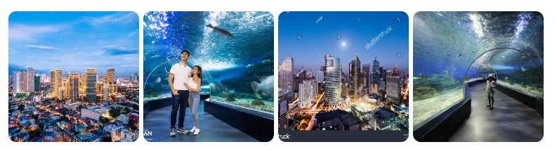 마닐라 마카티 시티의 도시 전경과 마닐라 오션 파크의 수족관 내부, 해저 터널을 담은 여행지 이미지