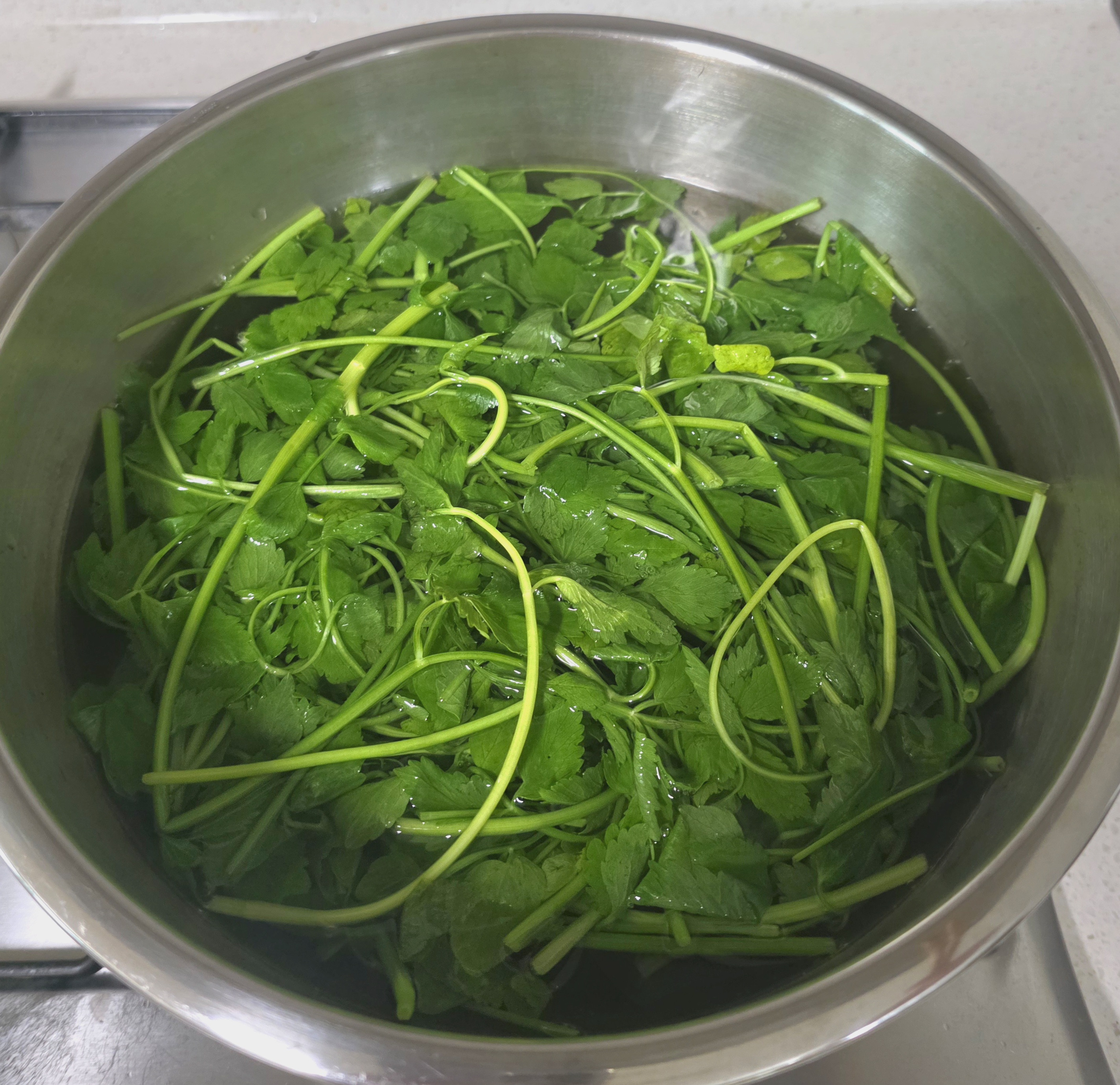 살짝만-데칩니다.