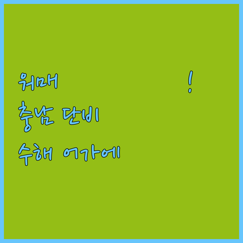워매 வரவே! 충청남도, 수해로 시..