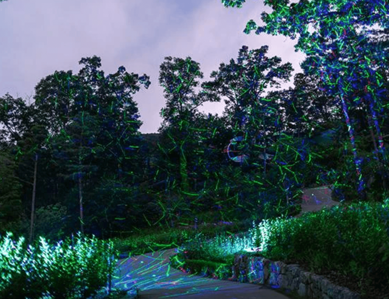 화담숲 반딧불이 이벤트