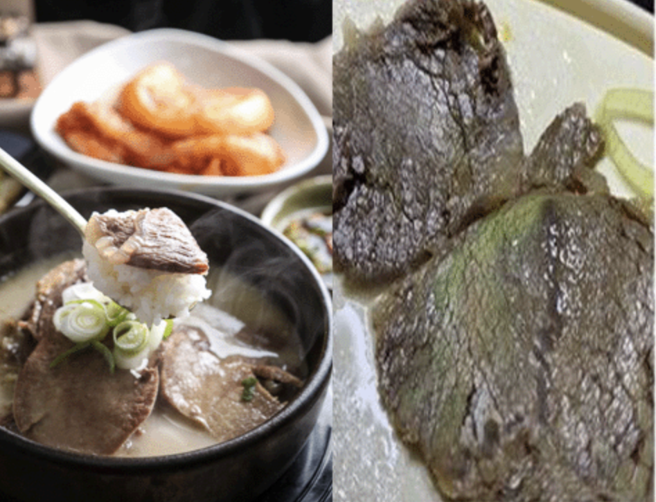 고기 표면의 형광색, 무지개색