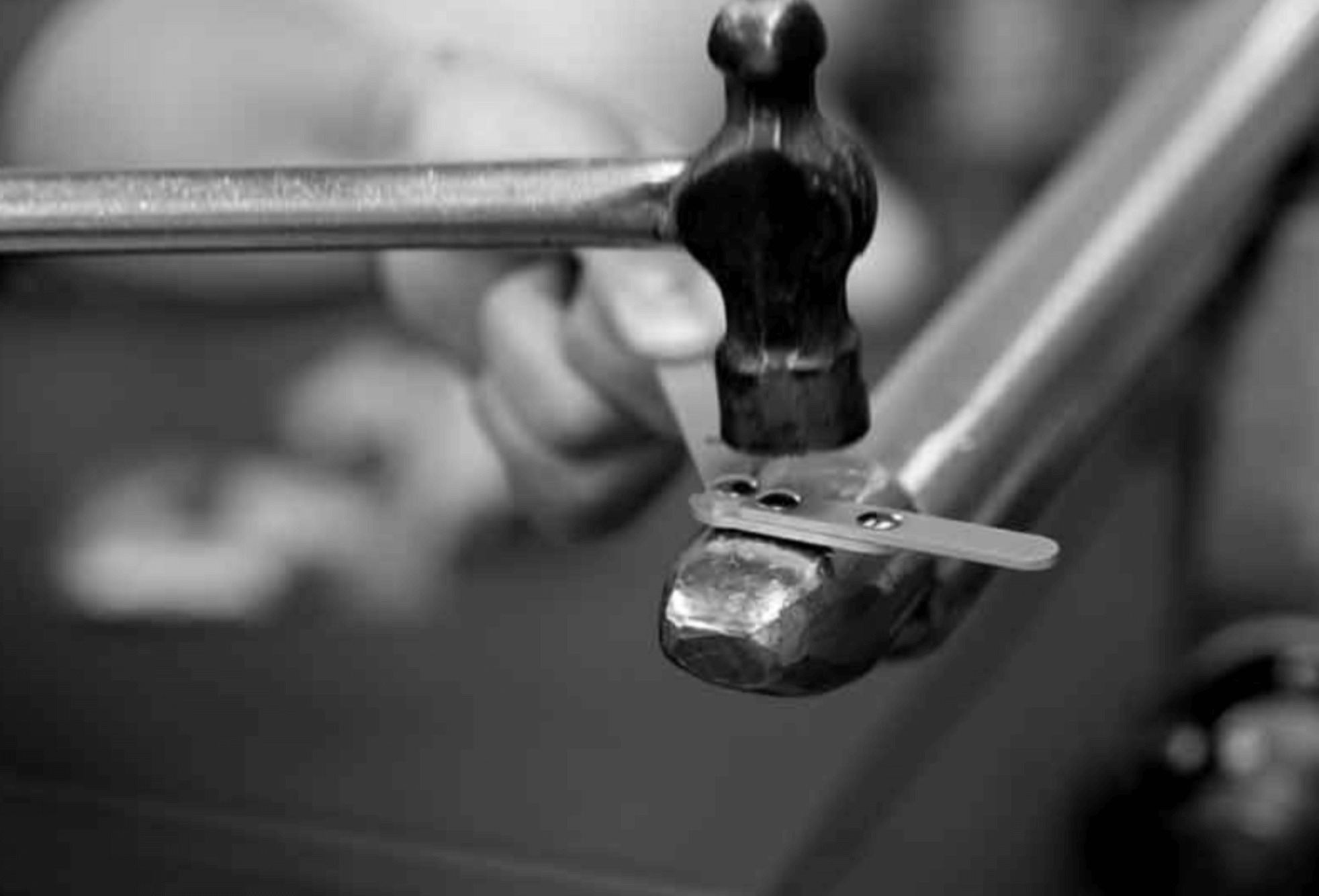 강아지-슬개골-보조대-포베오