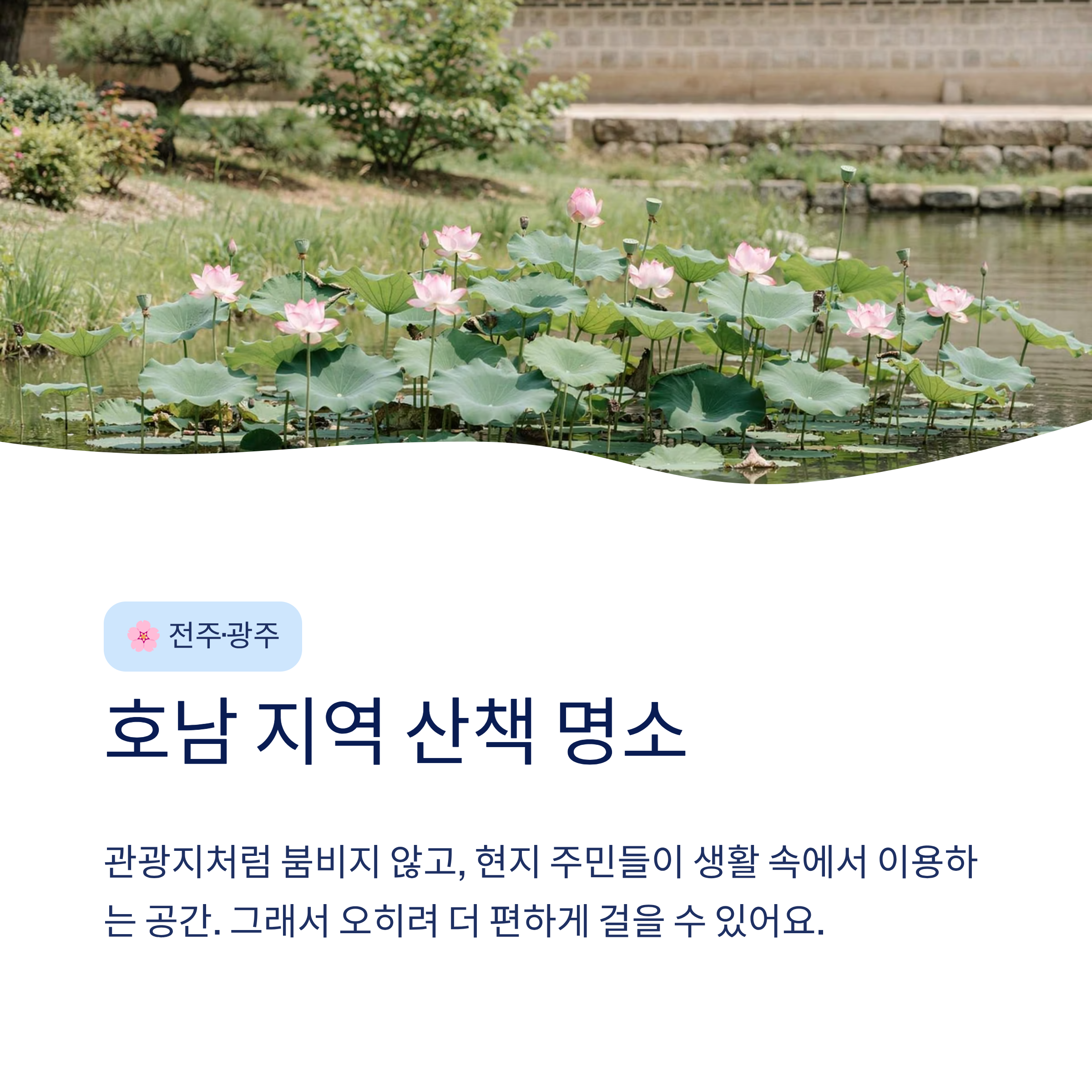 산책하기 좋은 도시 공원 전국 추천 — 진짜 걸어본 사람만 아는 숨은 명소들