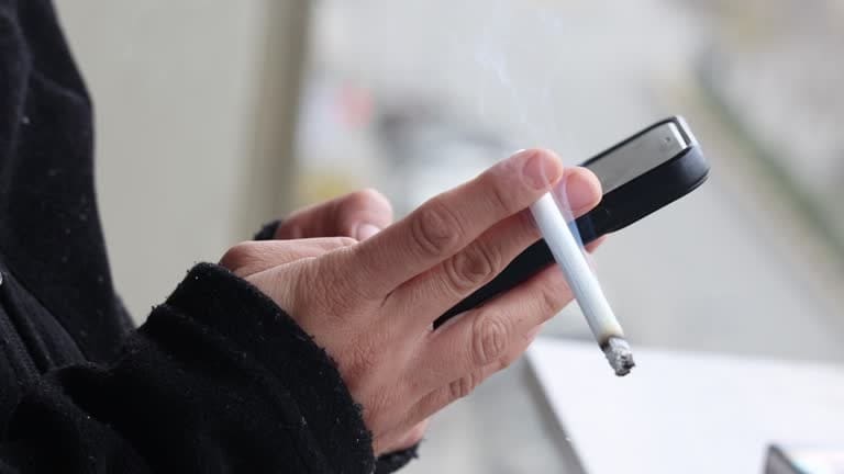 담배값 인상 시기