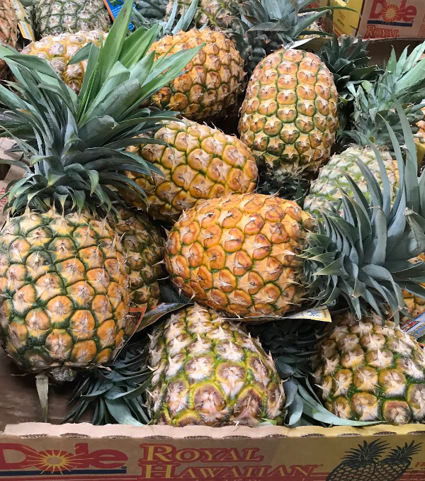 하와이-코스트코-파인애플-사진