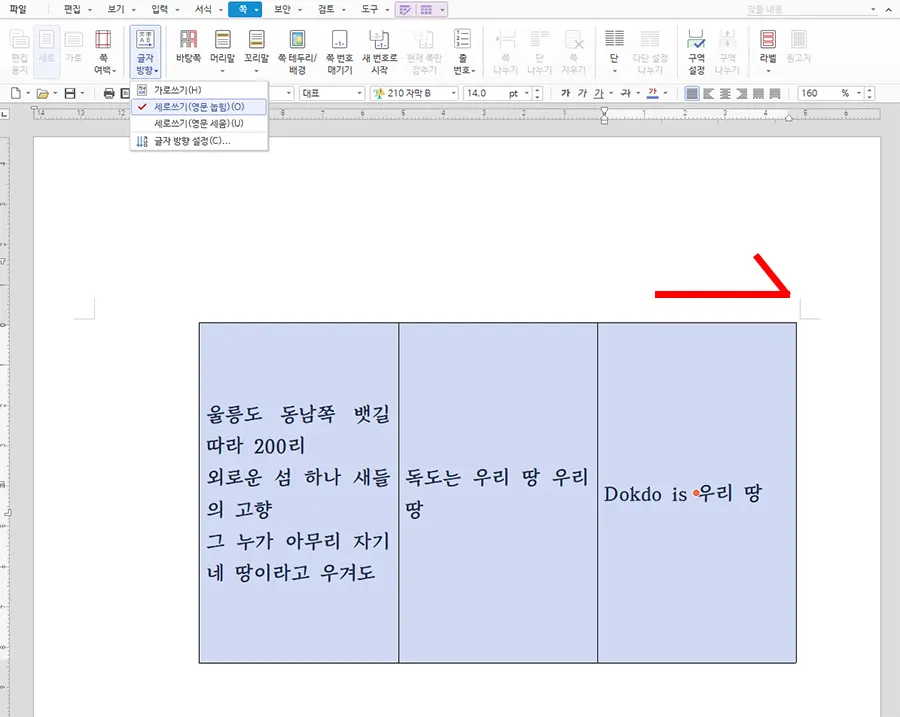 한글에서 표 안에 있는 글자를 세로 설정에 실패한 모습