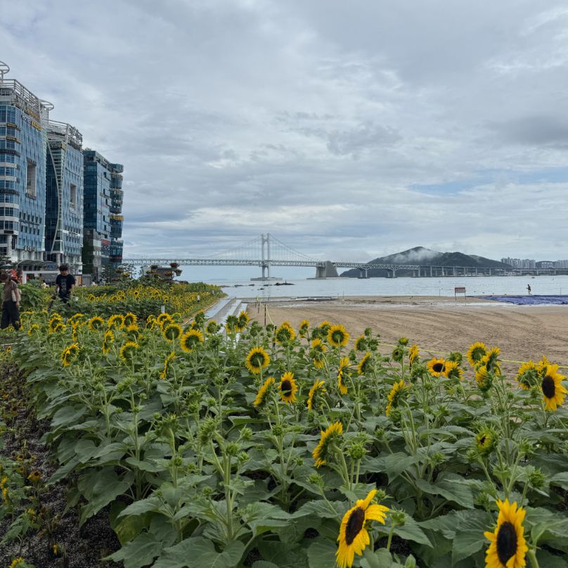 광안리해수욕장