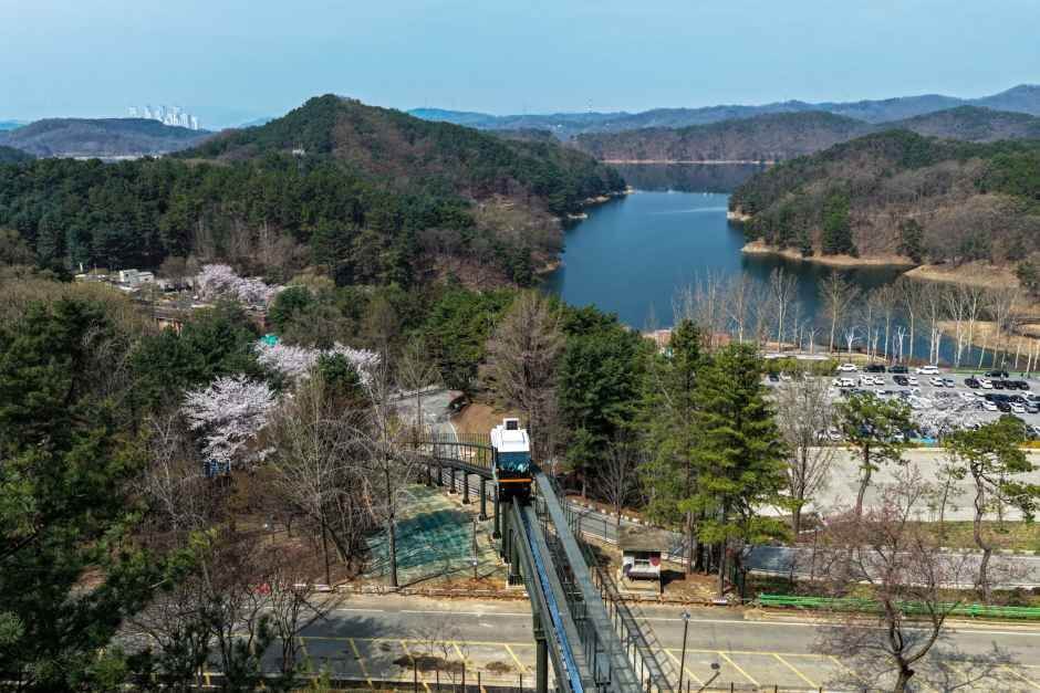 청남대 봄꽃축제 영춘제