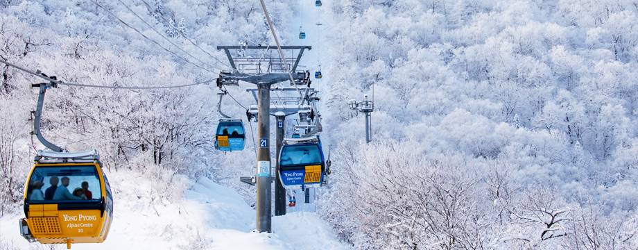 겨울 눈꽃여행 추천 평창 발왕산 케이블카