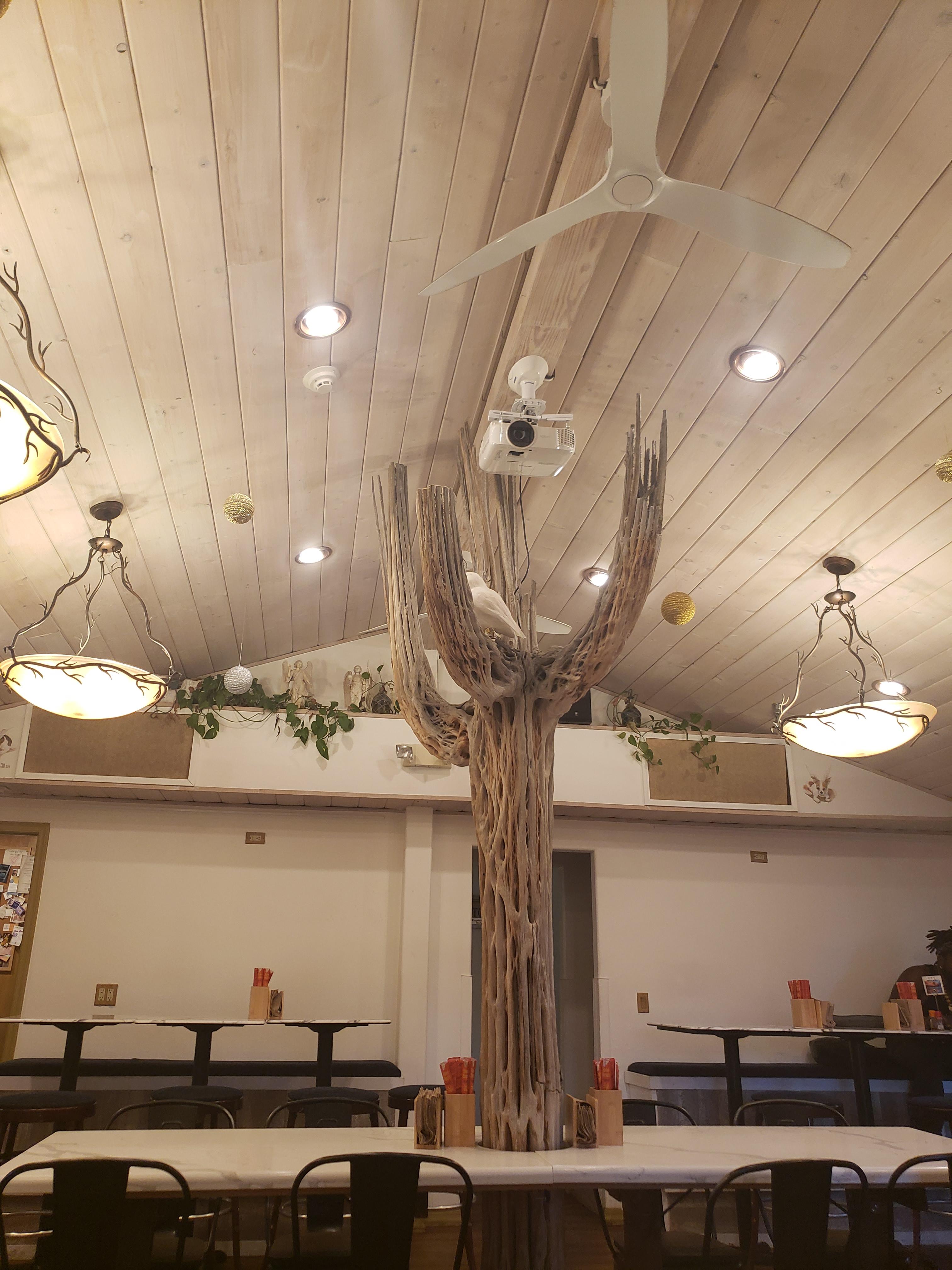 세도나 일본식 홈메이드 누들 맛집 &ndash; The Angel Kitchen 방문기