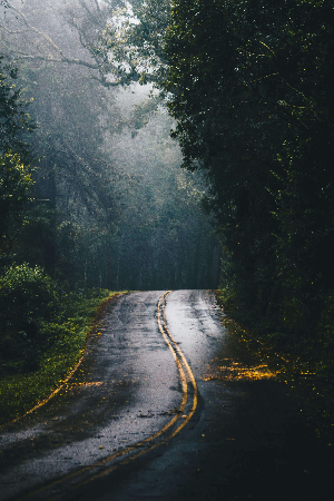 질경이가 알레르기 증상에 준 도움