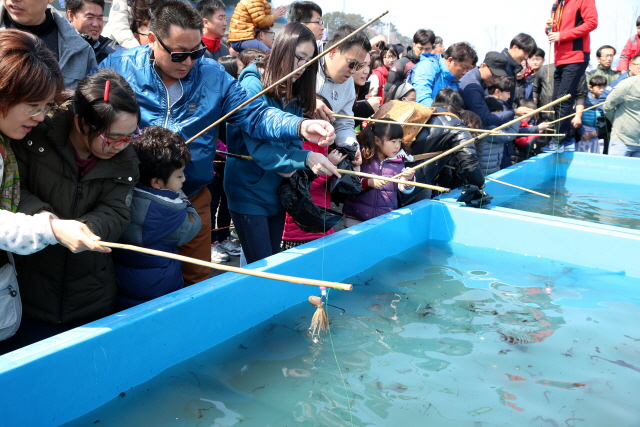 서천 동백꽃 주꾸미축제