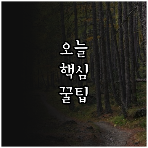 부모 부재 아동 2025 서산시 가정..