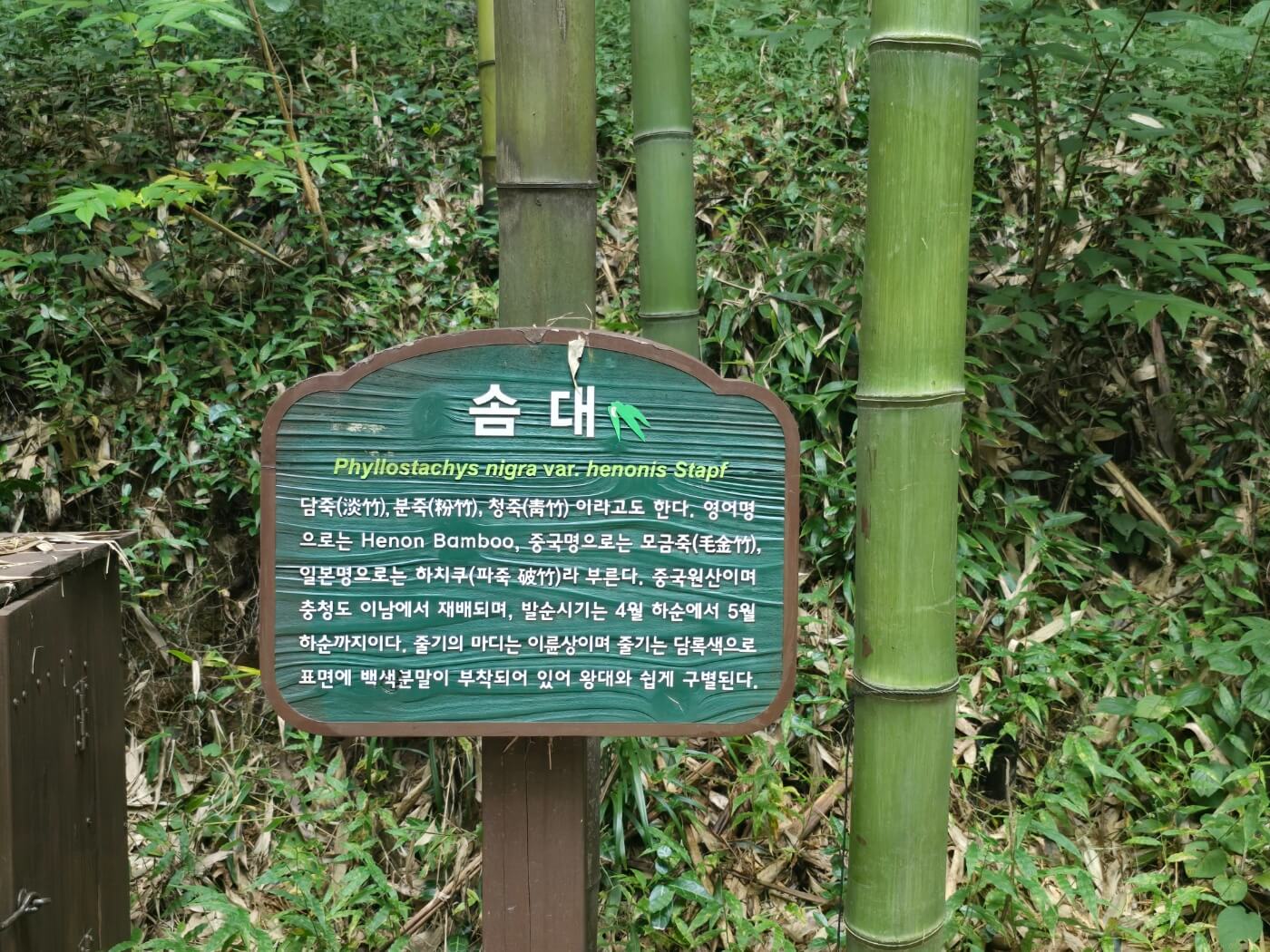 이정표-솜대