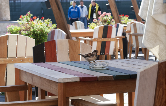 민생회복지원금 지자체별 지급액 및 신청방법, 지급대상