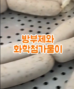 제주 소세지 만들기 체험