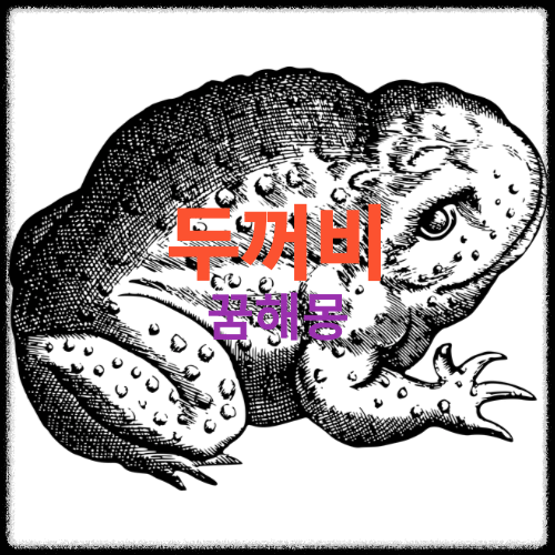 두꺼비-꿈해몽-썸네일