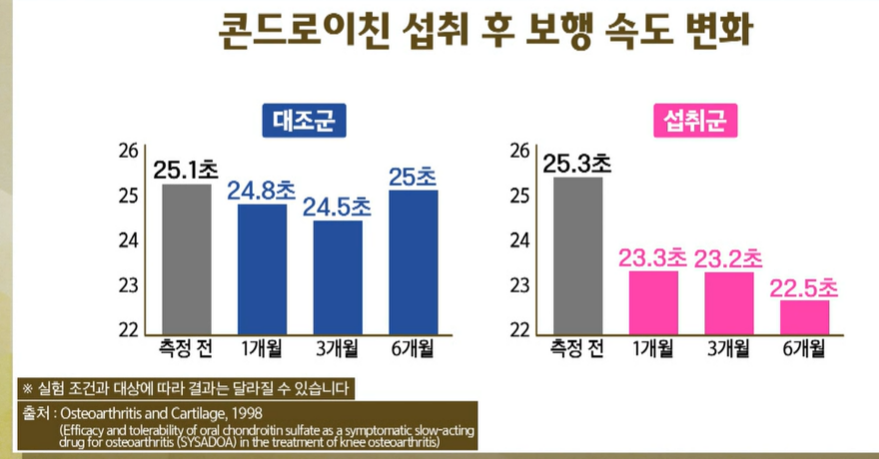 콘드로이친 효능