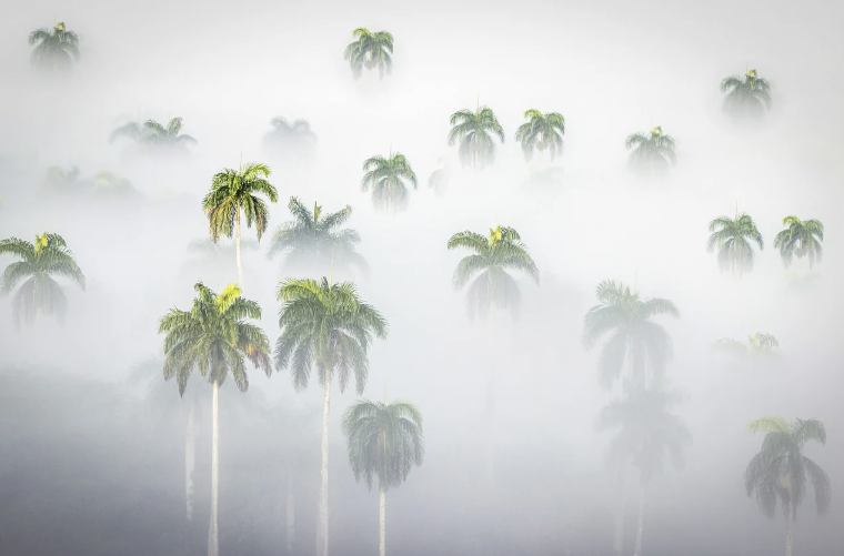 기후 변화와 우리의 음식 선택