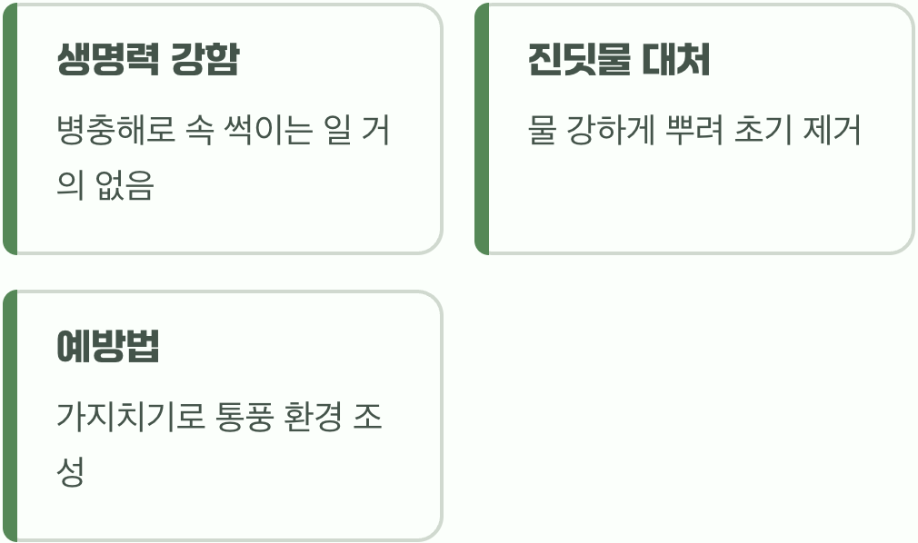 골칫거리 병충해, 미리 예방하기