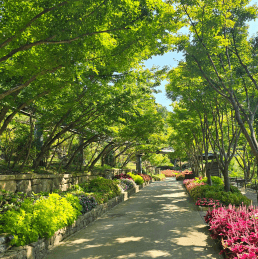가을천 단풍여행 화담숲 화담채 모노레일 입장권 예약 방법 안내