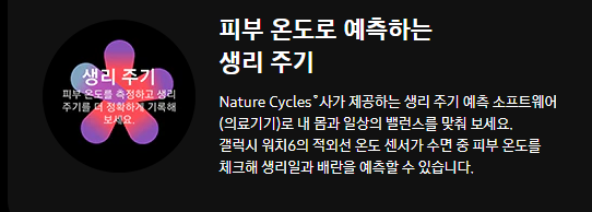 갤럭시 워치6 라인업별 모델