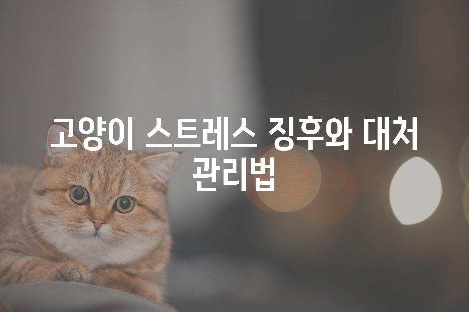 Cat Stress 8
