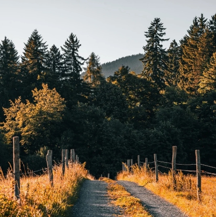골목문화와 걷기여행으로 만나는 지역의 일상