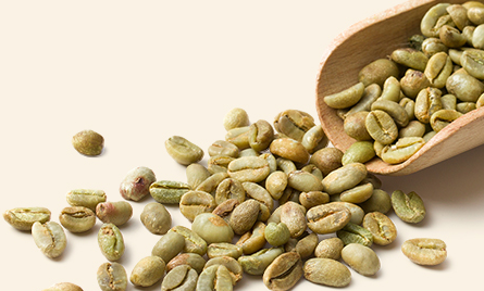 다이어트 커피 : 그린 커피 빈