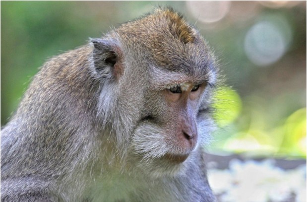 발리여행 지역별 특징 알아보기