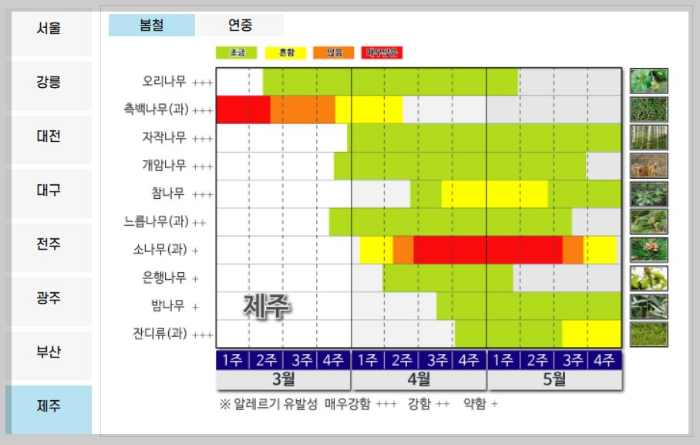 꽃가루알레르기 특징 및 알레르기증상, 꽃가루알레르기예방법