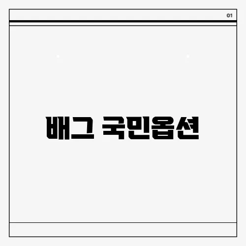 배그 국민옵션