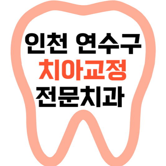 인천 연수구 치아교정 치과 잘하는 곳 전문 치과 추천 가격 비용.png