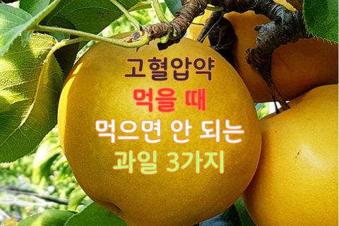 고혈압약 먹을 때 먹으면 안 되는 과일 3가지