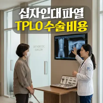 십자인대 파열 TPLO 수술 비용
동물병원 정형외과 수술실 앞에서 수의사(한국인)가 보호자(한국인)에게 최첨단 임플란트 플레이트와 뼈 절골 엑스레이를 보여주며 설명하는 장면