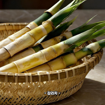 죽순 아린맛 쓴맛 제거법