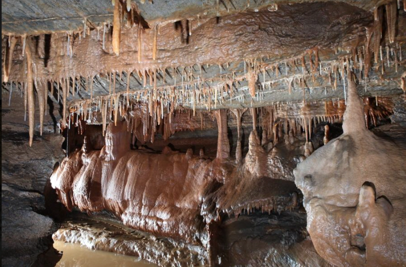 단양 가볼만한곳 단양 만천하스카이워크