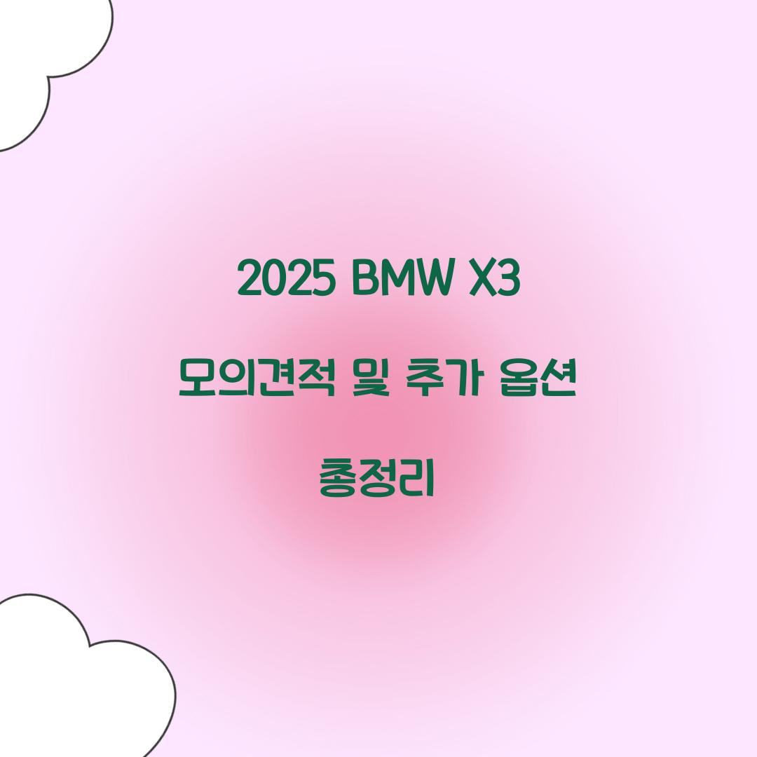 2025 BMW X3 모의견적