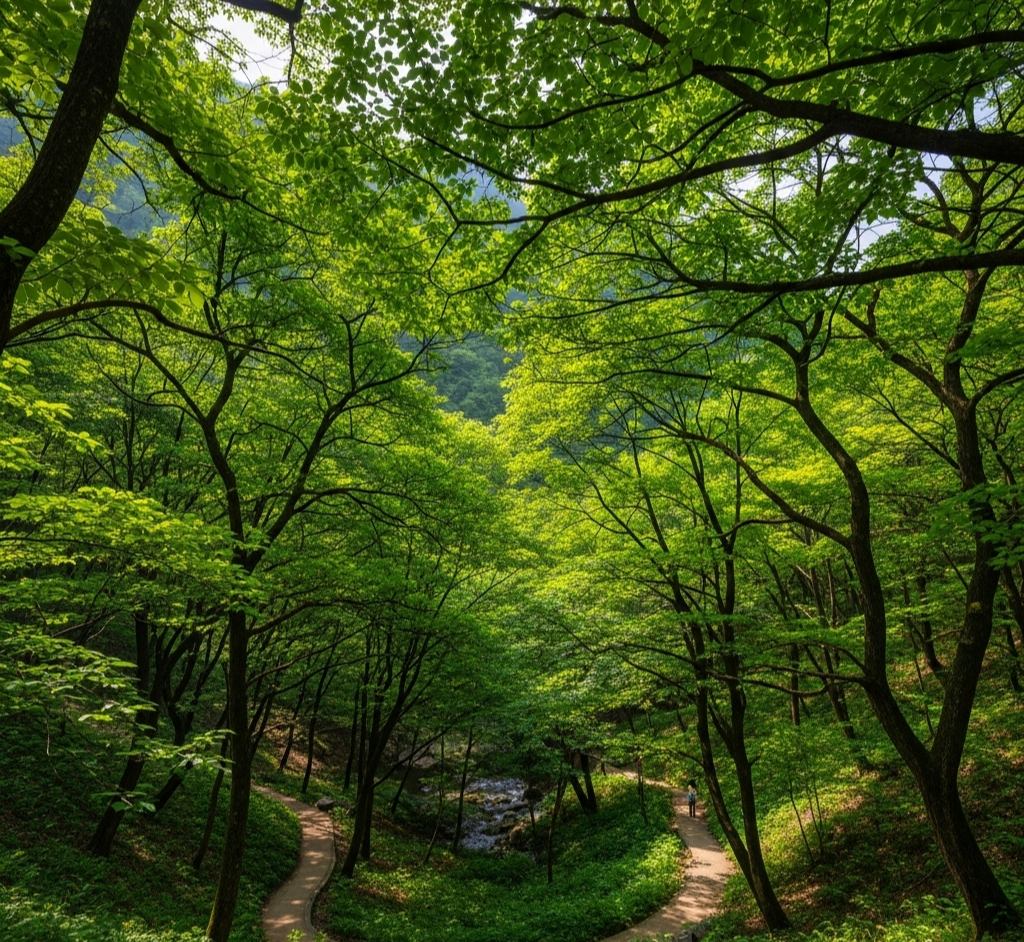 수락산사진