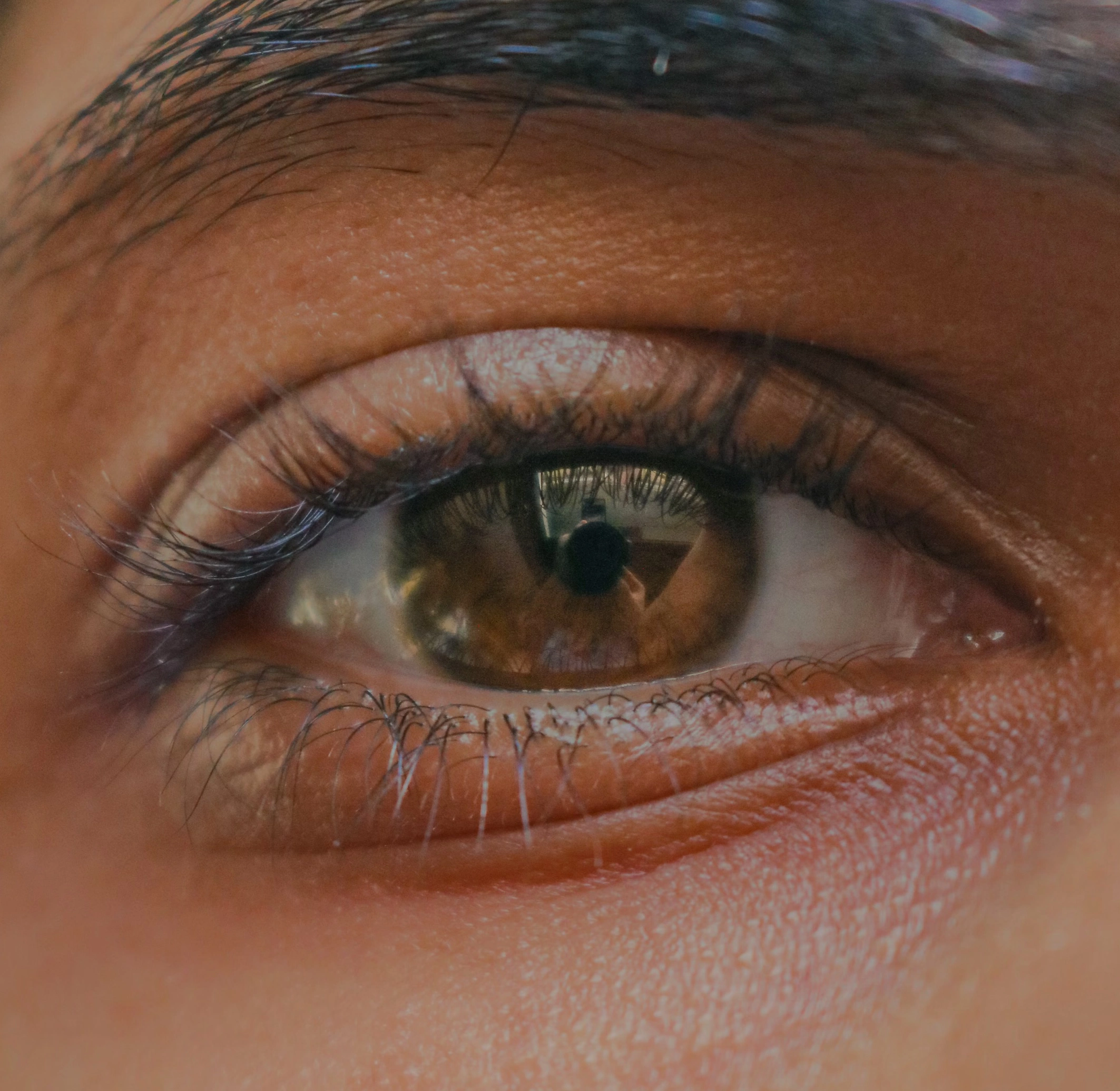 루테인 섭취시간