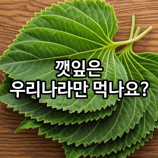 깻잎은 우리나라만 먹나요?